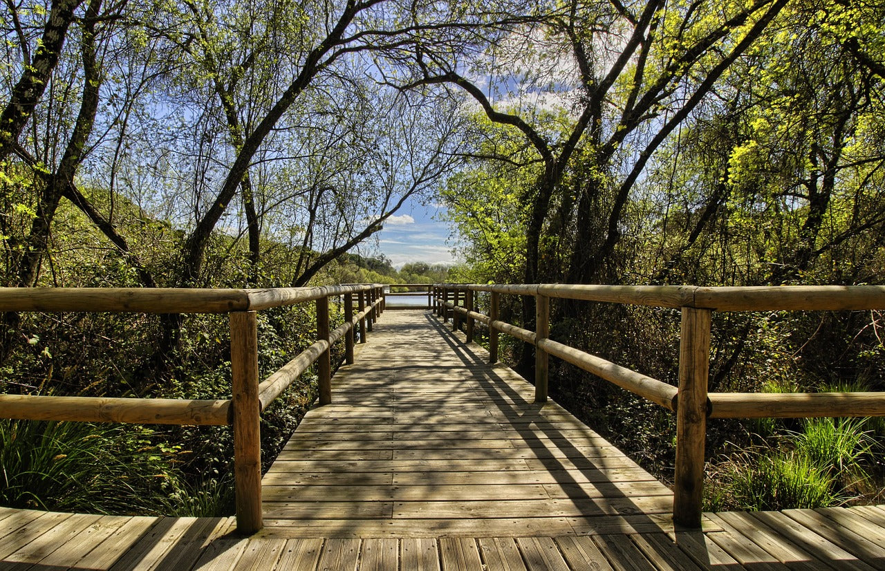 Ecoturismo